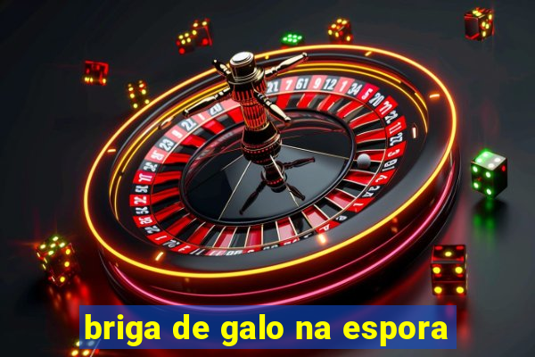 briga de galo na espora